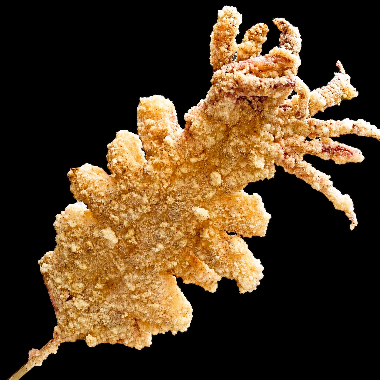 酥炸大魷魚(スーザーダーヨウイ)